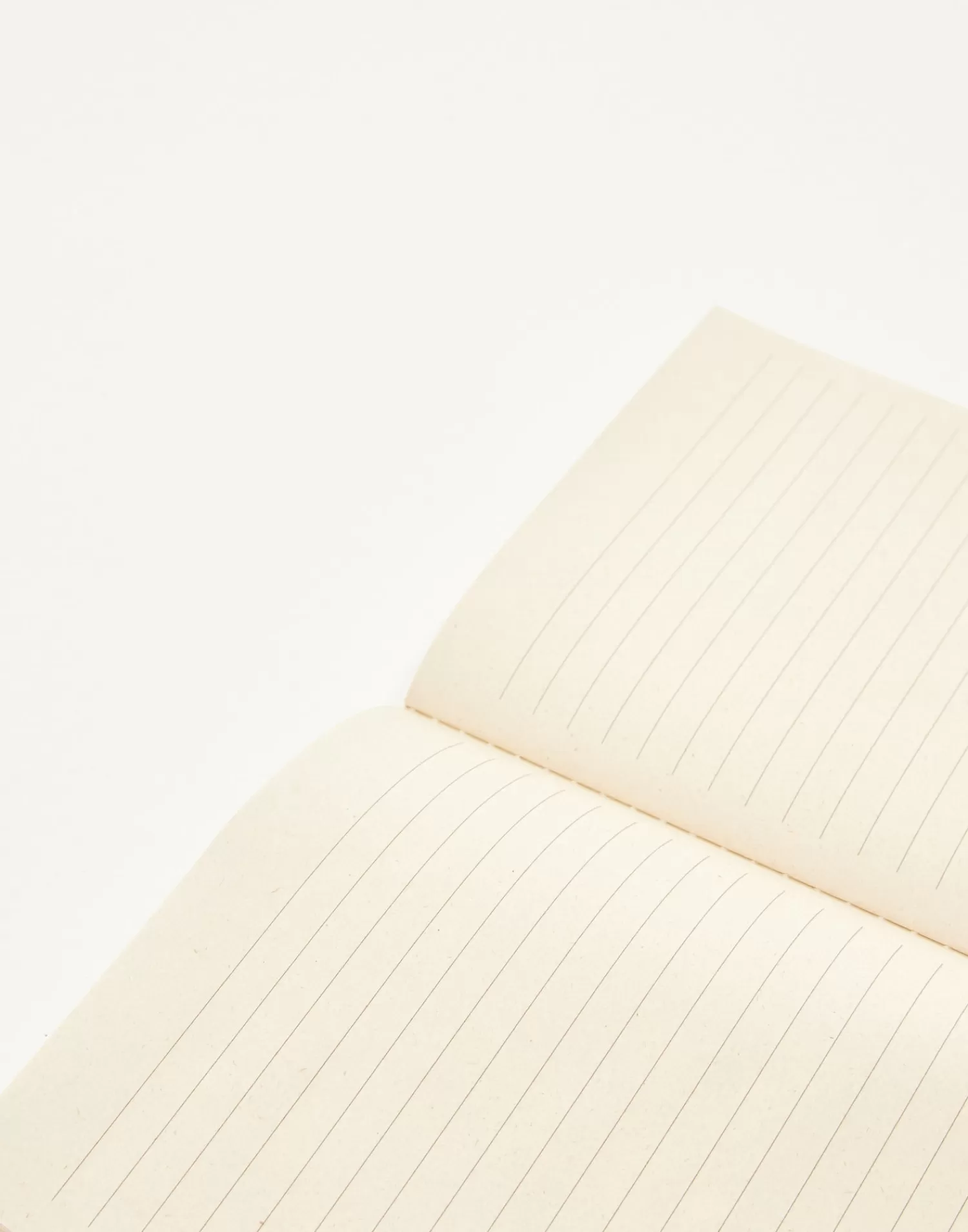 Stationery*Natura Selection A5 Notebook With Colored Spine