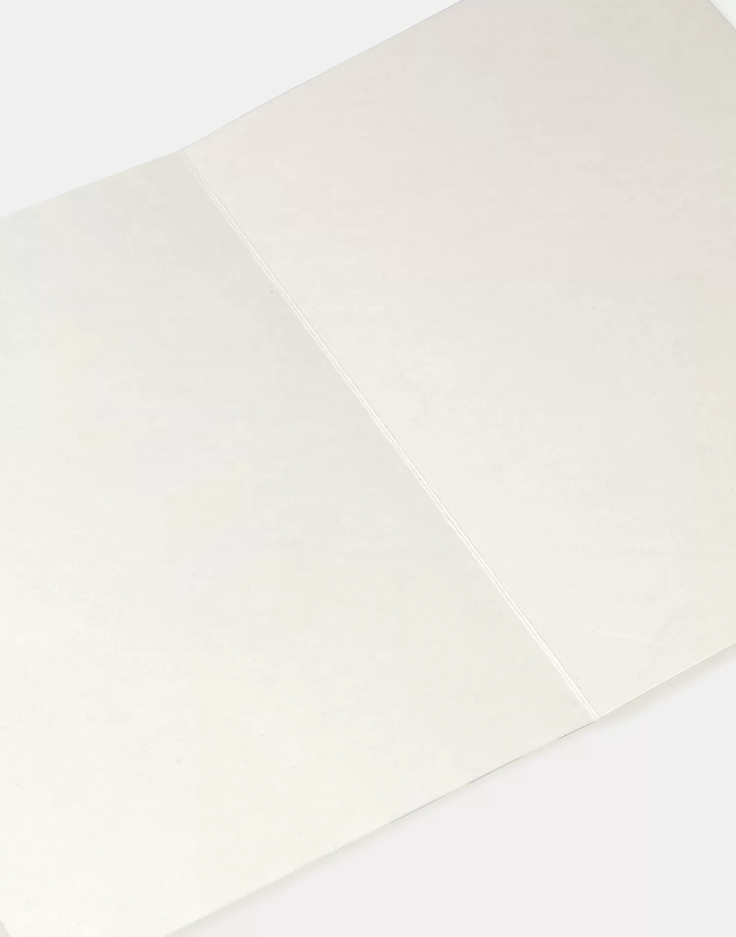 Stationery*Natura Selection Barcelona Bonita Postcard