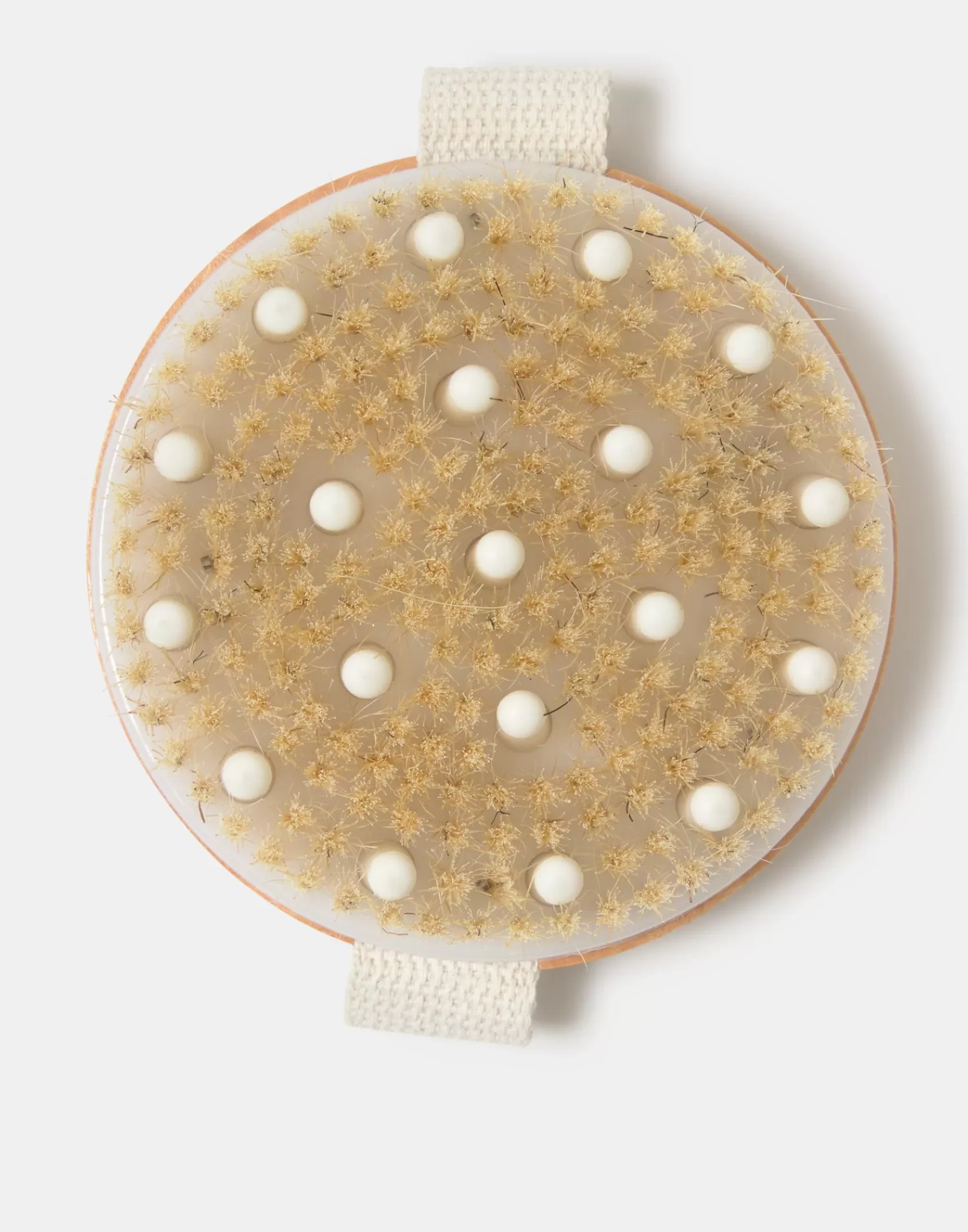 circular_anticellulite_massaging_brush_3.webp Bathroom | Bodycare & Beauty*Natura Selection Circular Anti-Cellulite Massaging Brush 148048-BEIG