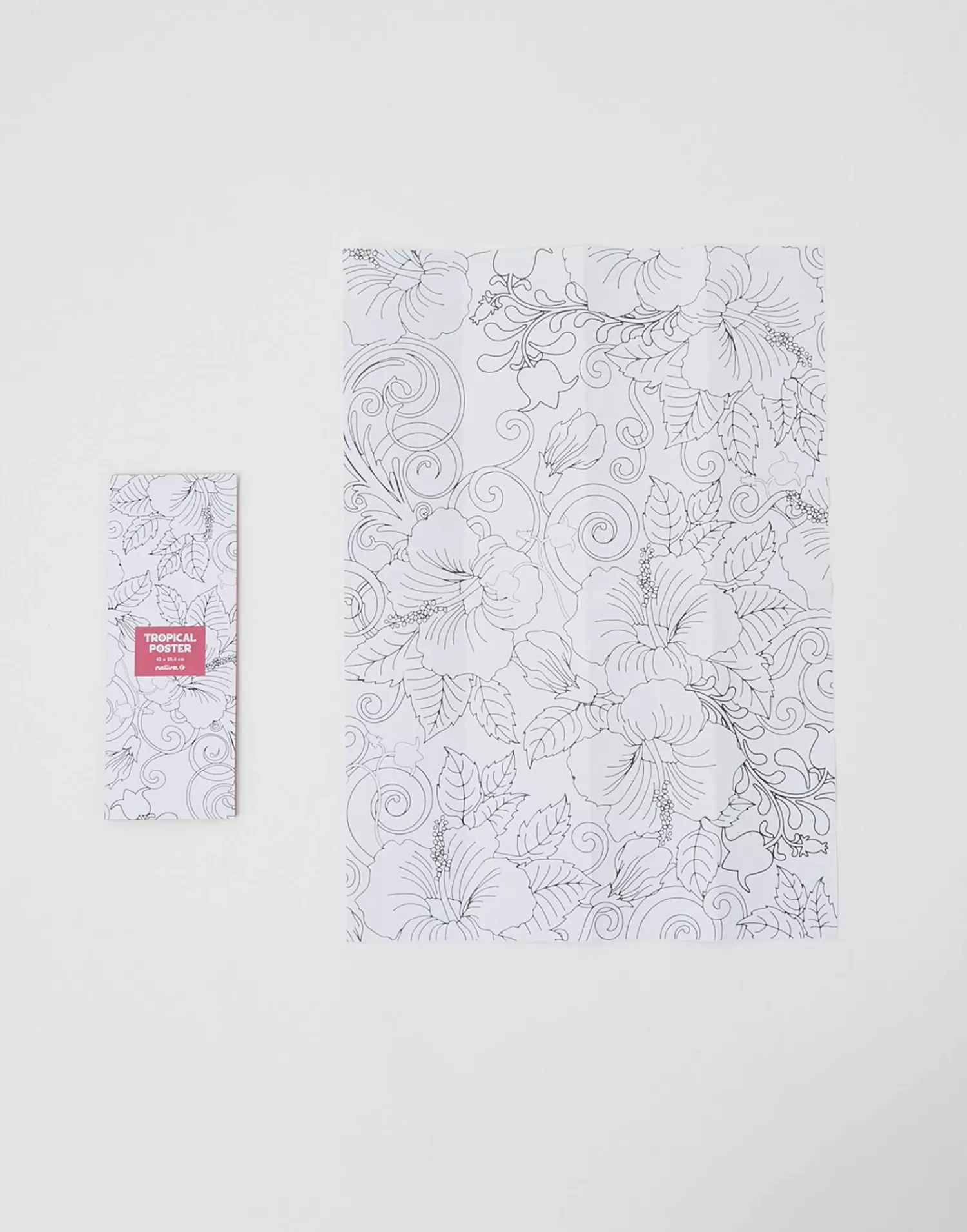 Games*Natura Selection Coloring Poster