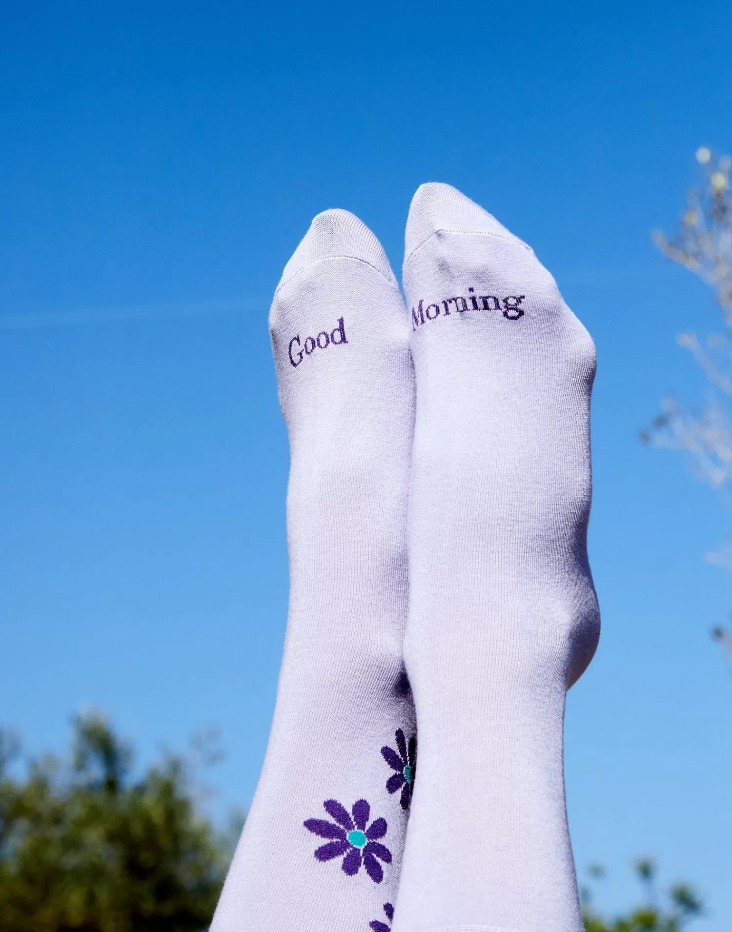 daisy_socks_1-3.webp Socks*Natura Selection Daisy Socks