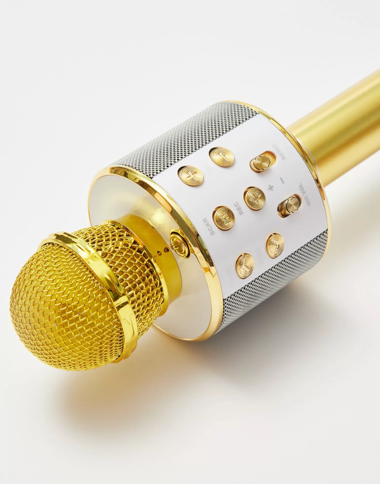 Games*Natura Selection Karaoke Microphone