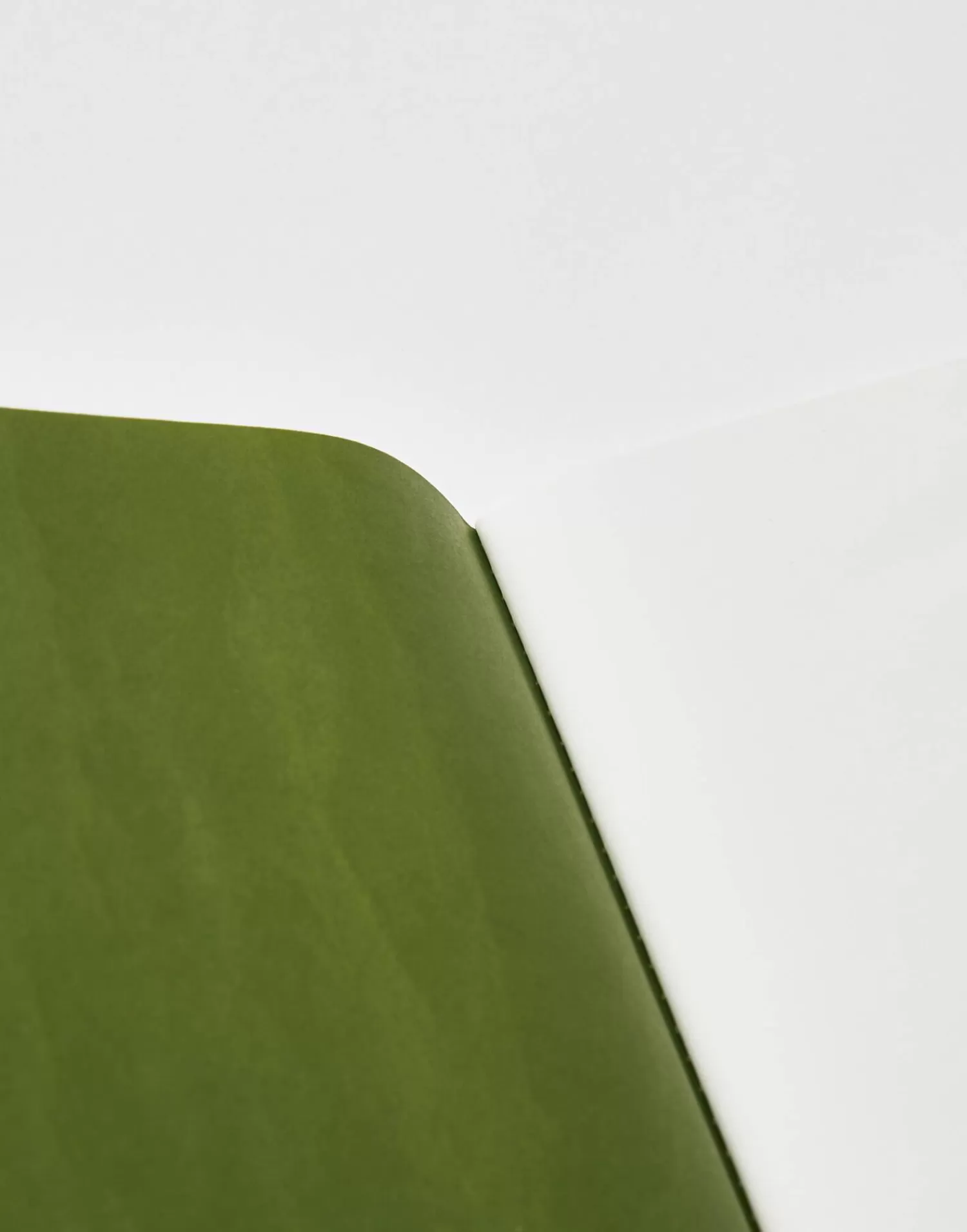 manifesto_notebook_23.webp Stationery*Natura Selection Manifesto Notebook