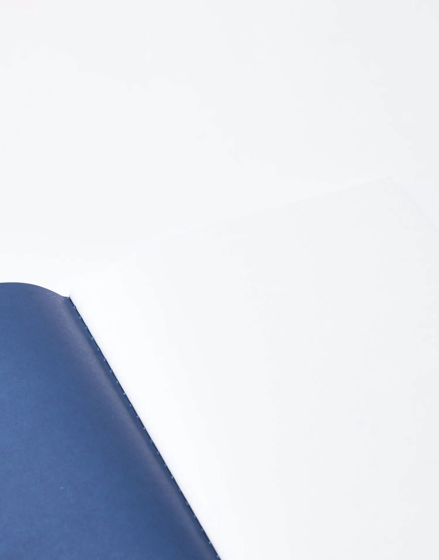 manifesto_notebook_3.webp Stationery*Natura Selection Manifesto Notebook