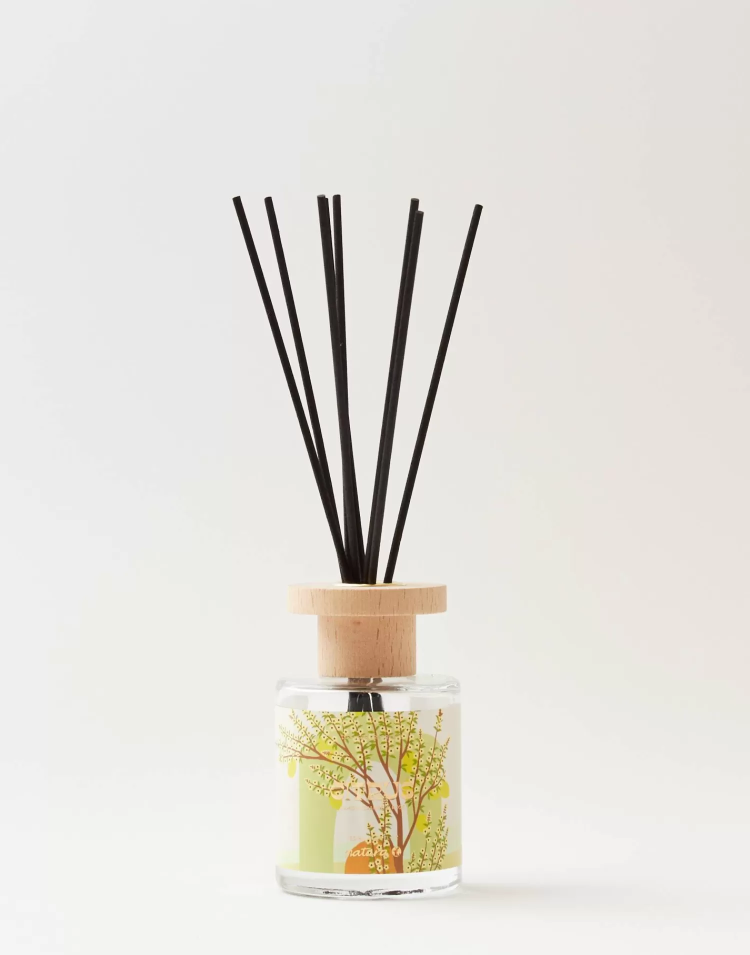 Aromas & Diffusers | Diffusers*Natura Selection Mikado Modern 120ml