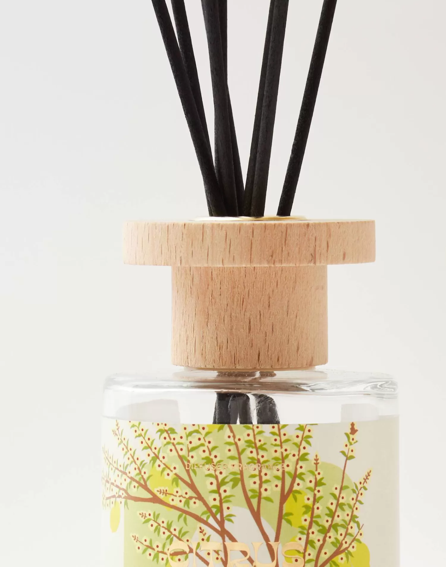 Aromas & Diffusers | Diffusers*Natura Selection Mikado Modern 120ml