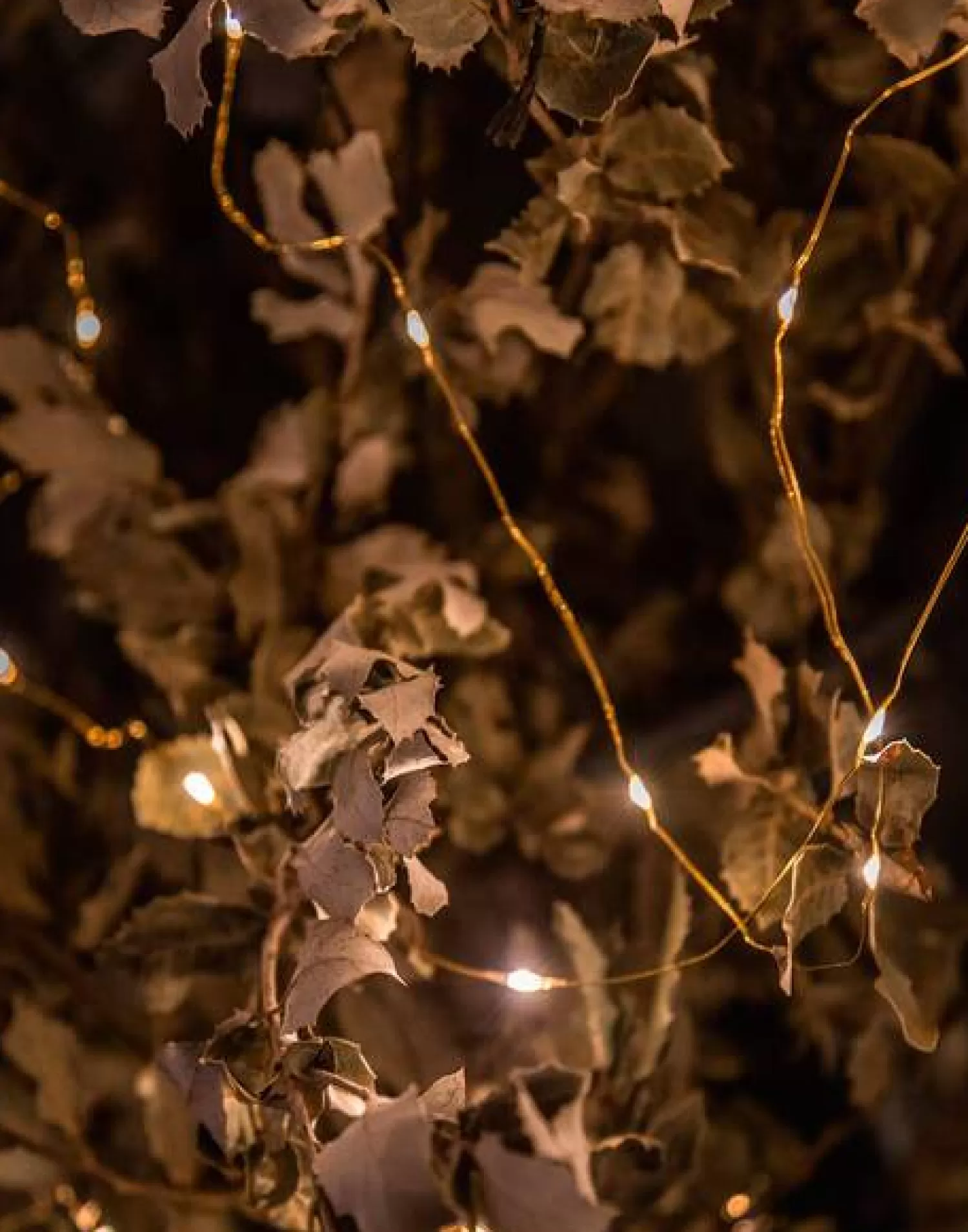 Decoration | Lightning*Natura Selection Mini Light Stripe 94542-GOLD-c2af74