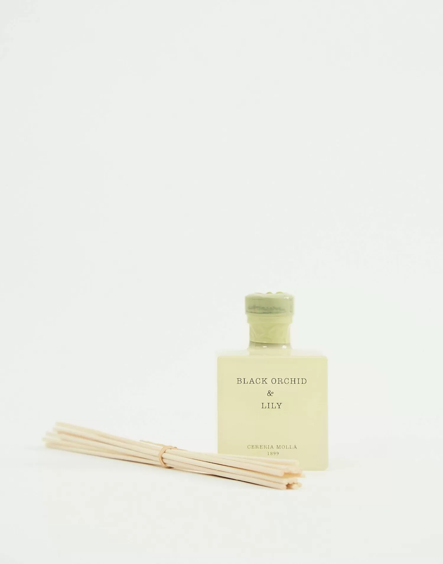 moll_100ml_cereing_mikado_seth_16.webp Aromas & Diffusers | Diffusers*Natura Selection Mollá 100ml Cereing Mikado Seth