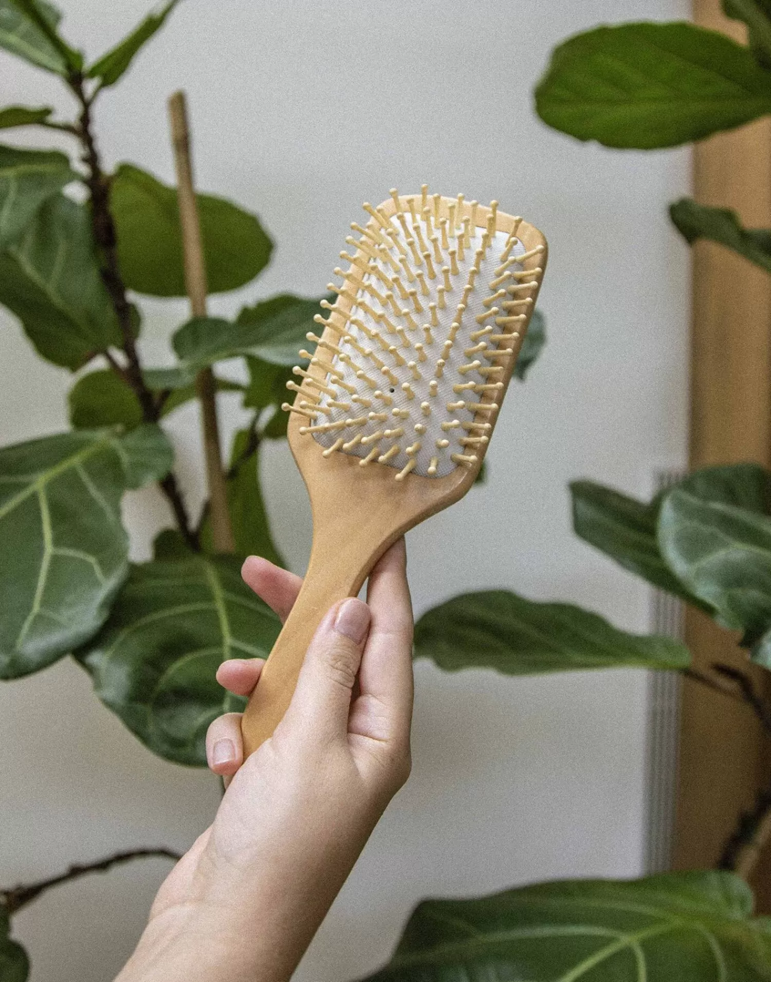 Bodycare & Beauty | Bodycare & Beauty*Natura Selection Natural Wooden Hairbrush 95228-NATURAL-ccc1a7