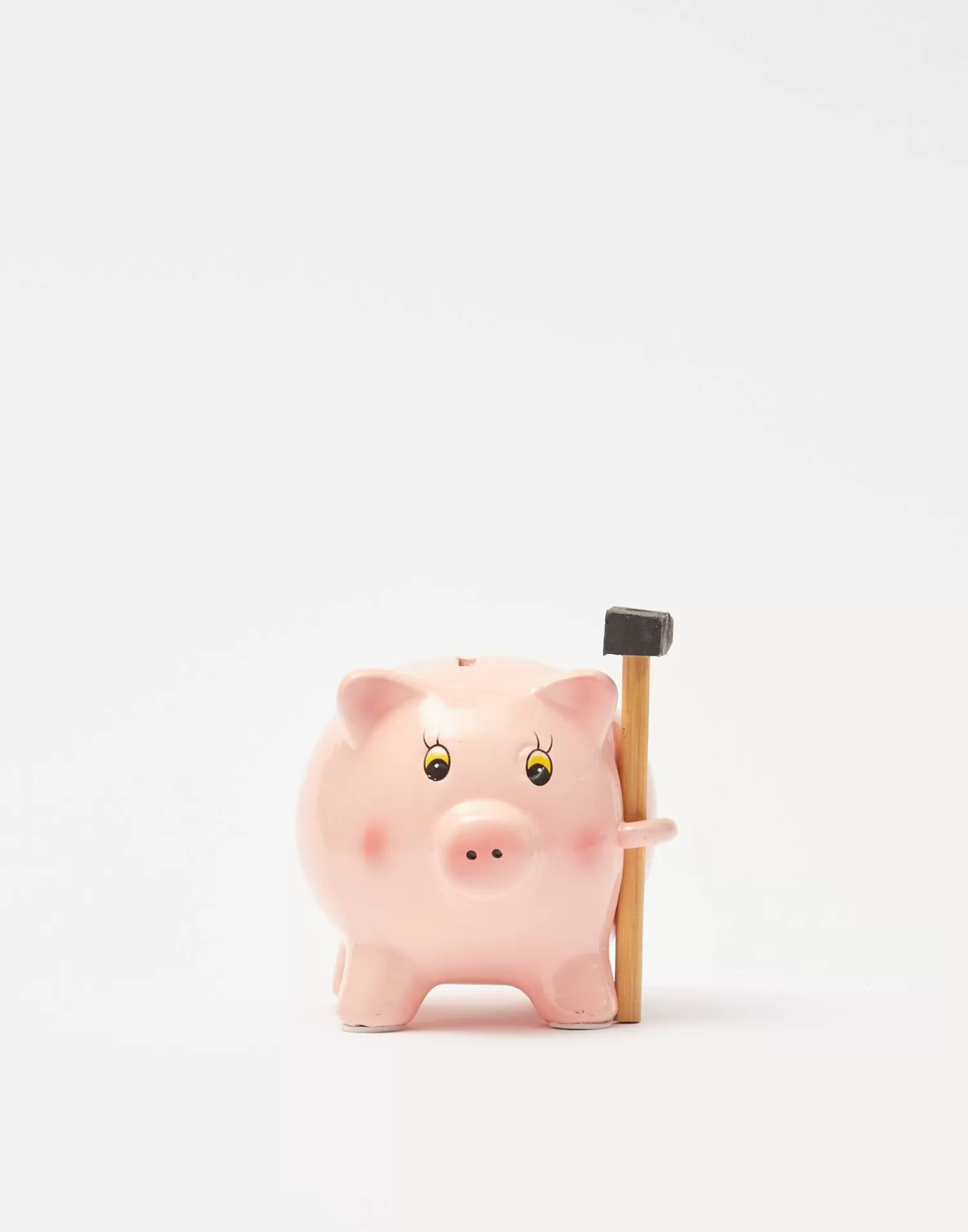 Games*Natura Selection Piggy Bank With Hammer