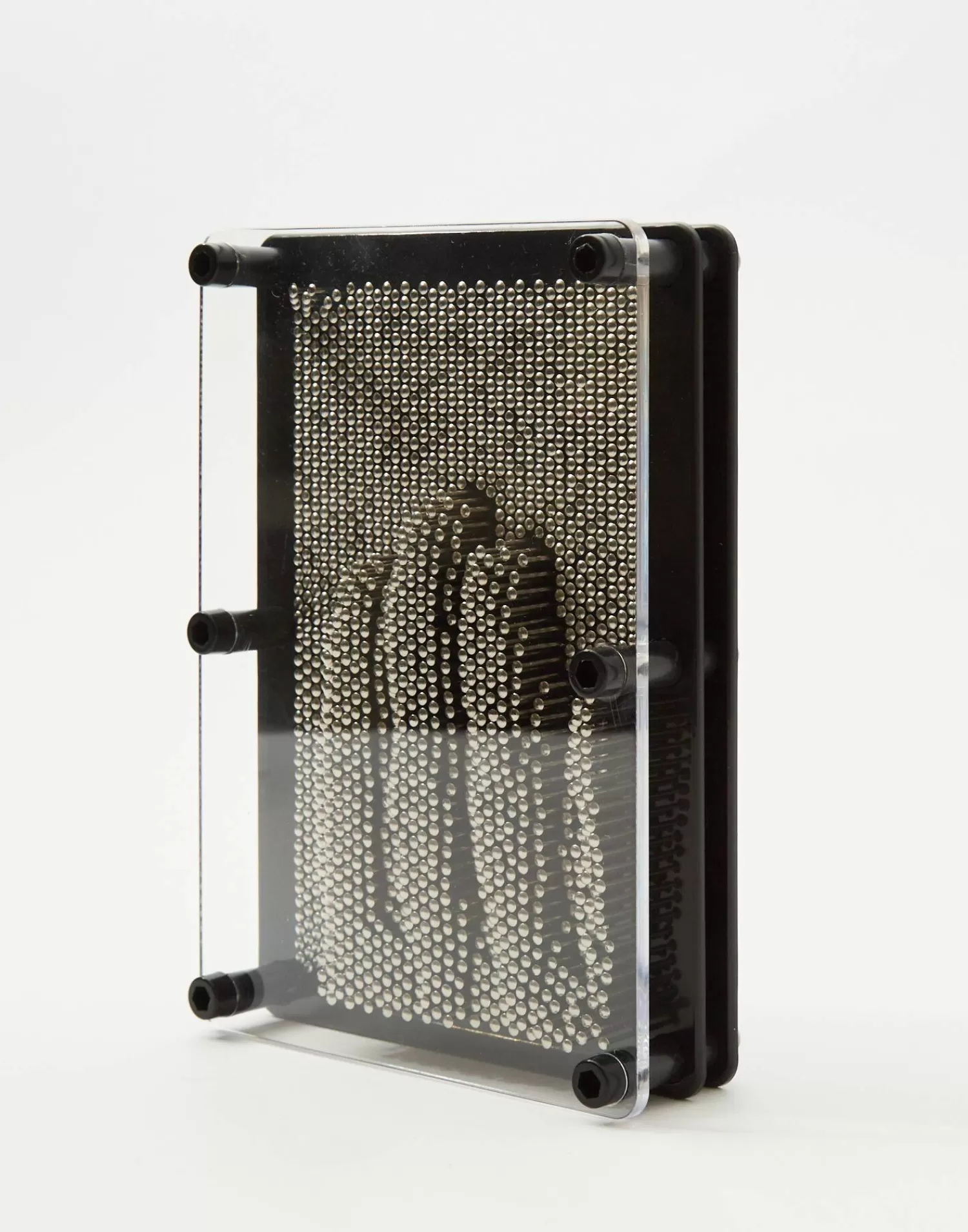 Games*Natura Selection Pinart