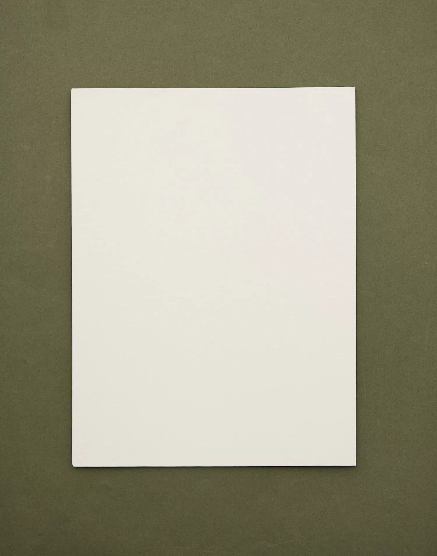 Stationery*Natura Selection Set Of 3 A3 Canvases 130780-WHITE