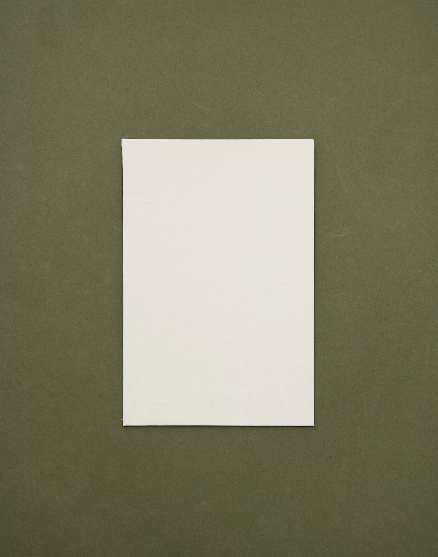 Stationery*Natura Selection Set Of 3 A4 Canvases 130779-WHITE