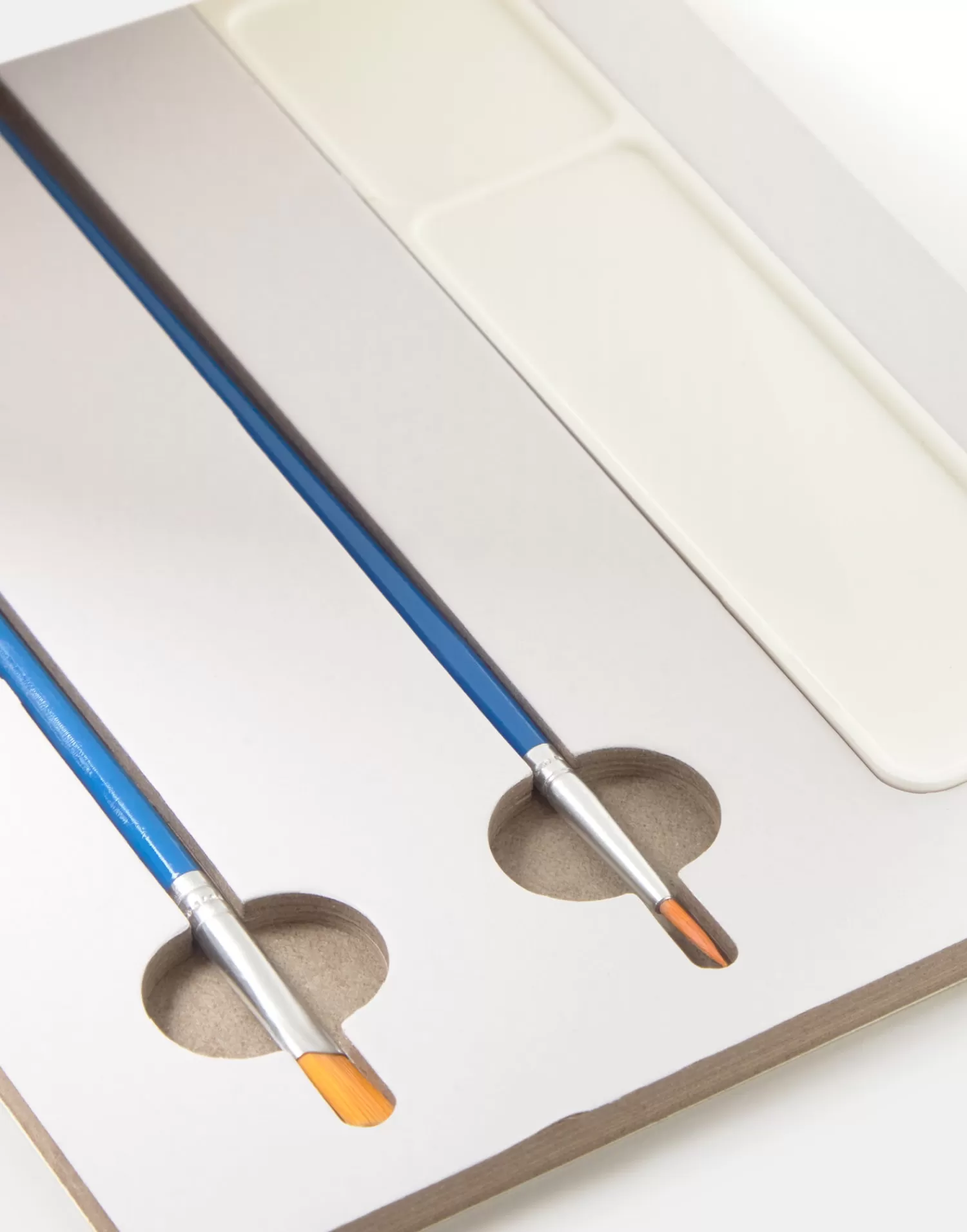 Stationery | Games*Natura Selection Set With Watercolor Book And Watercolors 147997-ASSORTED