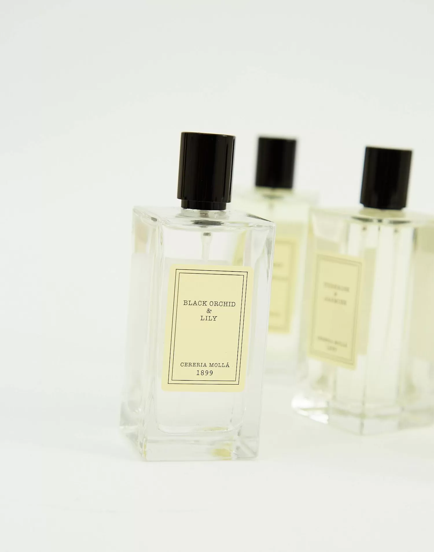 spray_cereria_moll_ambient_23.webp Aromas & Diffusers*Natura Selection Spray Cereria Mollá Ambient