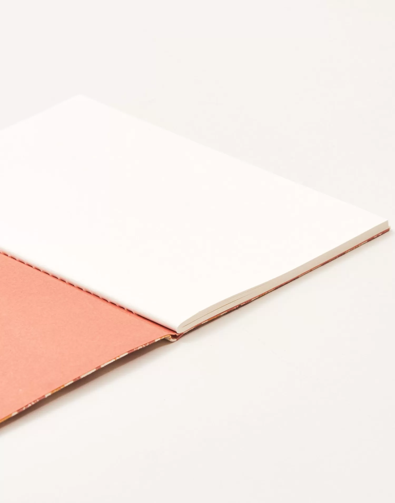 Stationery*Natura Selection Summer 2024 Print Notebook