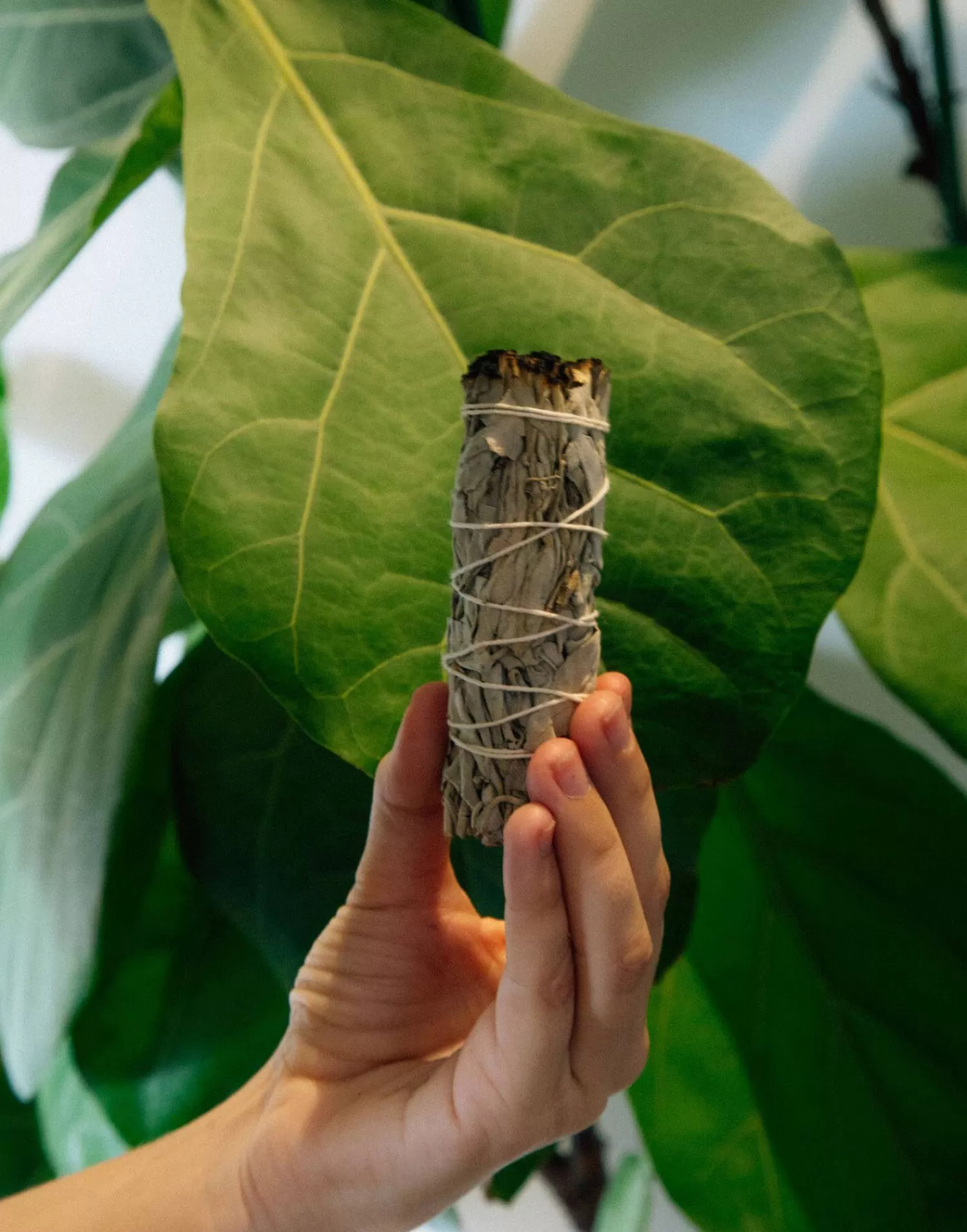 Aromas & Diffusers*Natura Selection Tied White Sage 139365-BEIG