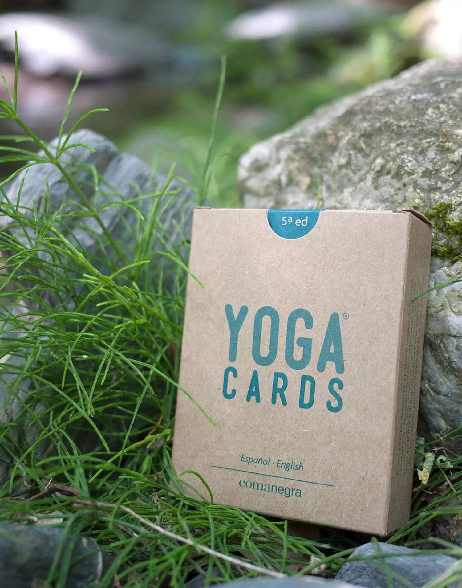 yoga_cards_3.webp Games | Yoga*Natura Selection Yoga Cards
